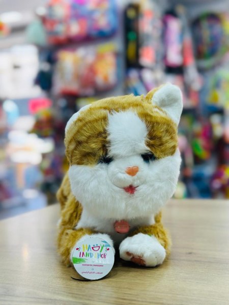 قطة تفاعلية حجم كبير